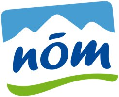 NAm AG logo