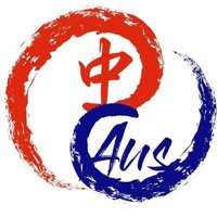 Chinese mission logo