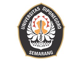 UNDIP